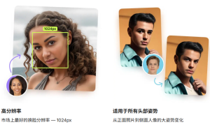 AI 换脸工具-Face Swapper-风月天阁
