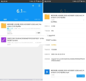 PC 迅雷精简版 + 迅雷 v12/11 杂交版 + Android 安卓迅雷 VIP 去广告不限速会员版 -- 专业磁力下载工具-风月天阁