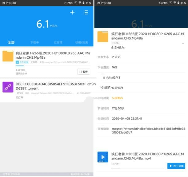 图片[1]-迅雷-风月天阁